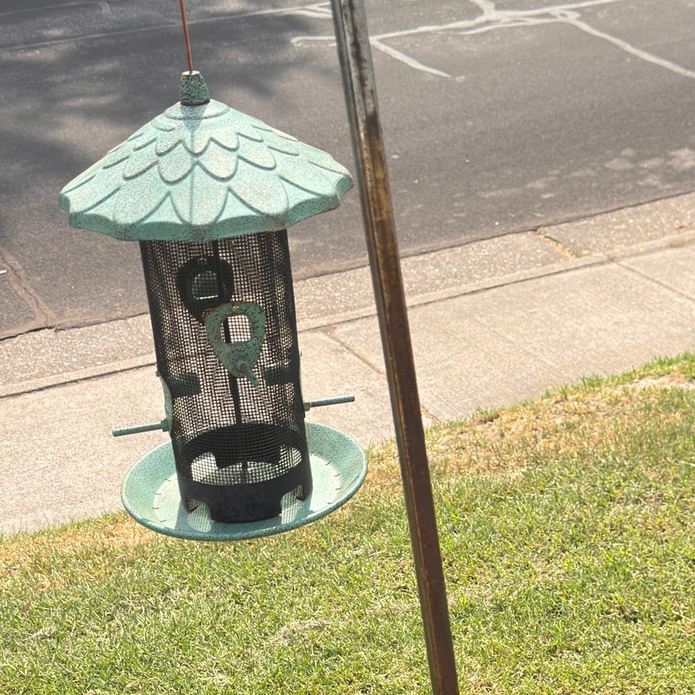 Large Green Bird Feeder EUC